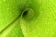 世界举重公开赛选手技术视频教程上线，世界举重比赛现场视频